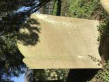 image of grave number 919688